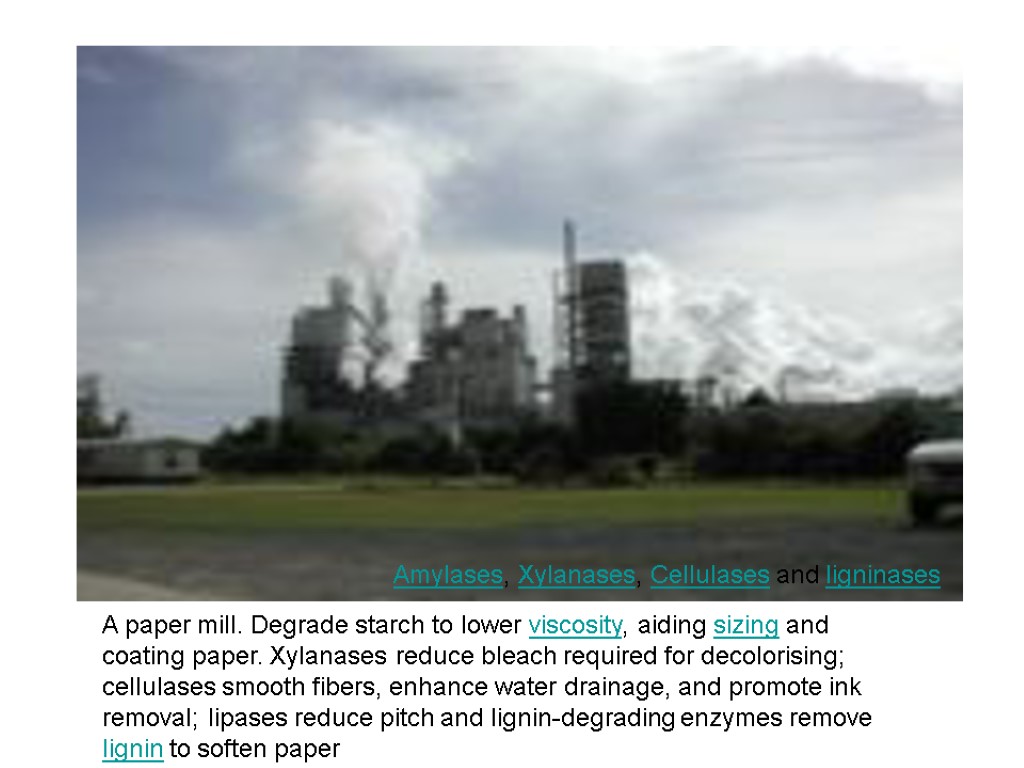 A paper mill. Degrade starch to lower viscosity, aiding sizing and coating paper. Xylanases